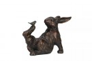 Hare med fugl thumbnail