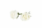 Hvit rose, ø 4,5 cm, vannfaste thumbnail