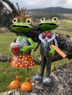Kjærlighets-froskene thumbnail