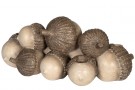 Eikenøtter lysestake thumbnail