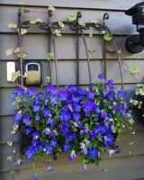 Potter, ampler og plante bord