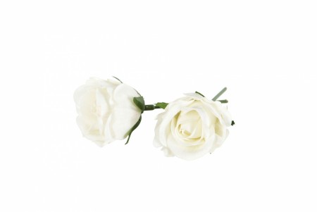 Hvit rose, 3cm, vannfaste