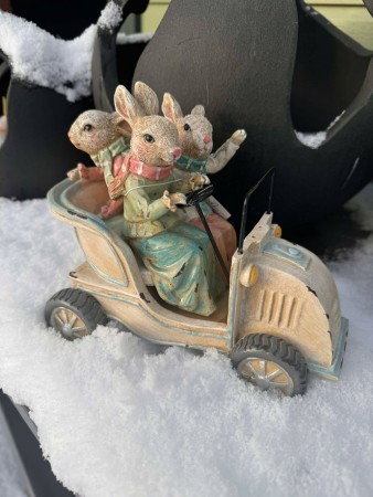 Hare familie i nostalgisk bil