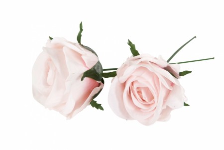 Rosa roser, 6 cm, vannfast